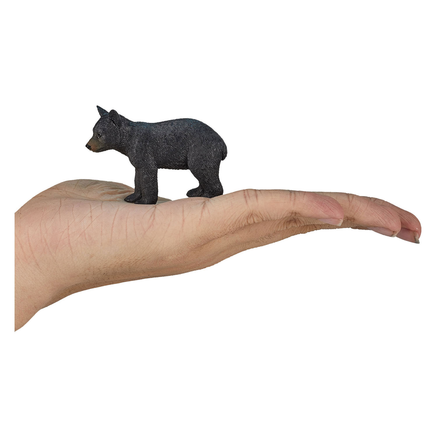 Mojo Wildlife Zwarte Beer- 387287
