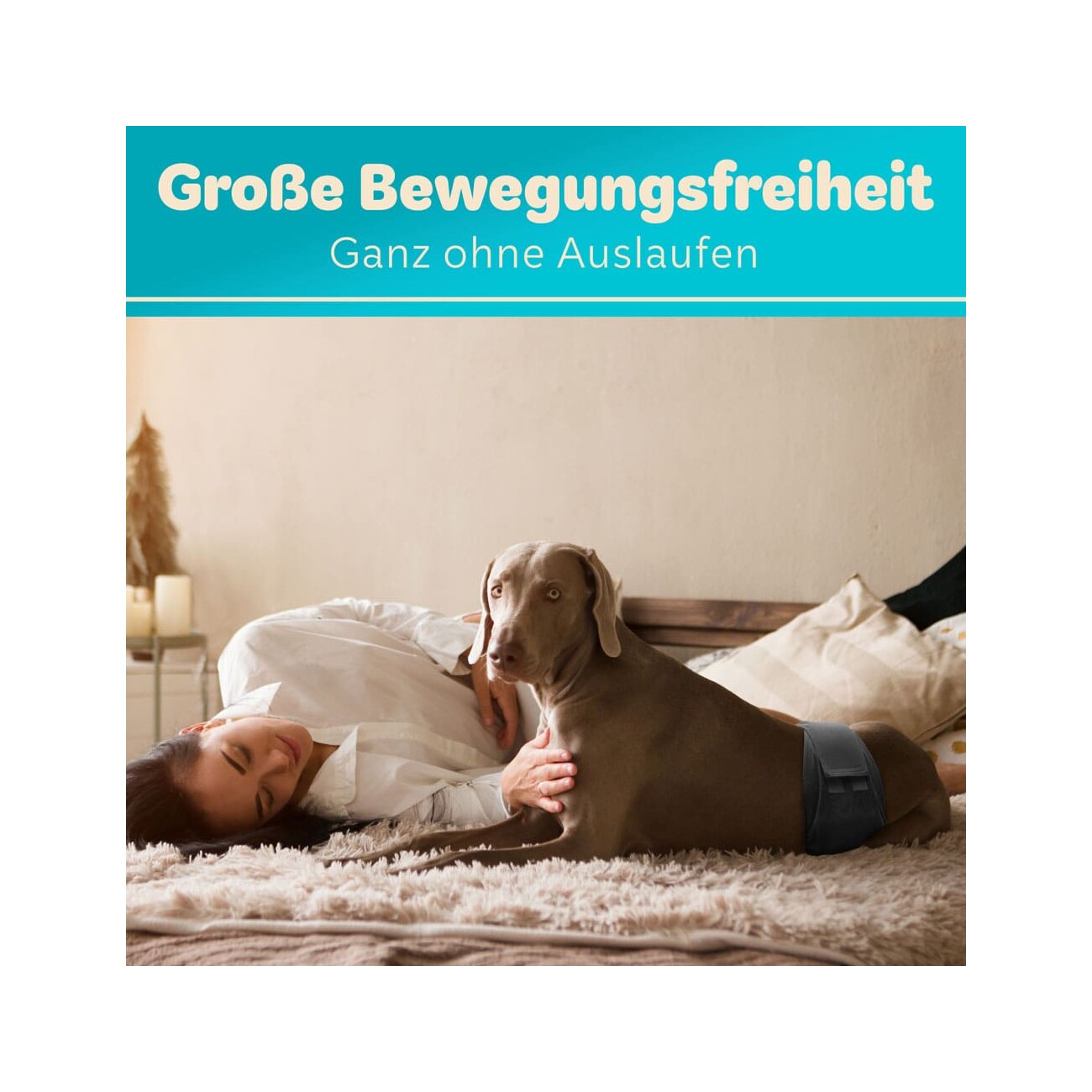 HUND IST KÖNIG Hundewindeln für Rüden [3 STK] Saugstarke Hundewindeln Rüde | Bequeme Hunde Windeln bei Inkontinenz XL