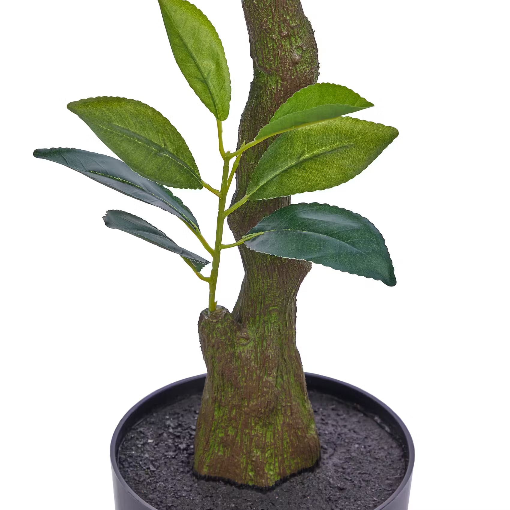 FLORISTA Kunstpflanze Zitronenbaum