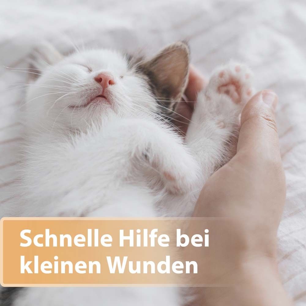 Felisept® Felisept Wundspray für Katzen