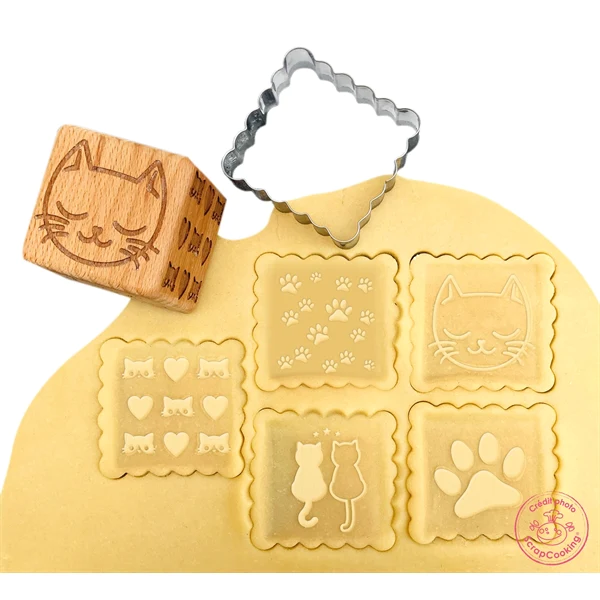 Kit décoration de biscuits Chat Scrapcooking