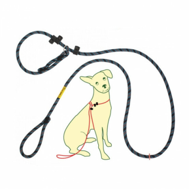 Laisse d'éducation CoolDog pour chien