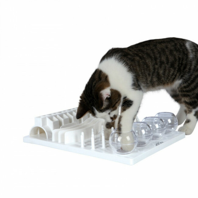 Jouet pour chats Cat Activity Fun Board Trixie