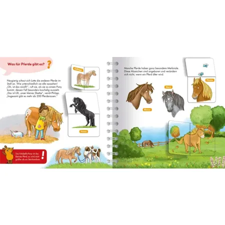 Carlsen Verlag Frag doch mal ... die Maus: Pferde und Ponys