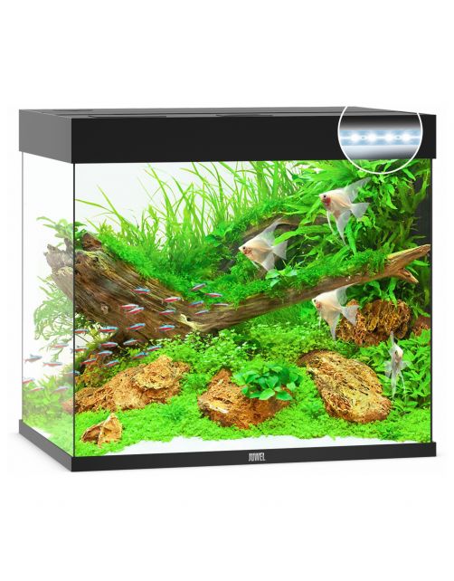 Juwel Aquarium Lido 200 Led 71x51x65 cm - Aquaria