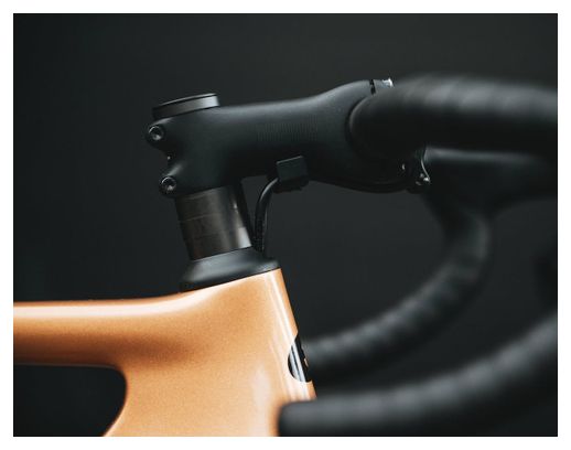Vélo de Route Cervélo Soloist Shimano Ultegra Di2 12V 700 mm Or Gold Dust 2024