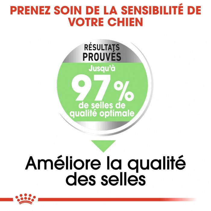 Royal Canin Maxi Digestive Care - Croquettes pour chien