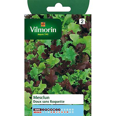 Graines de Mesclun Doux Sans Roquette