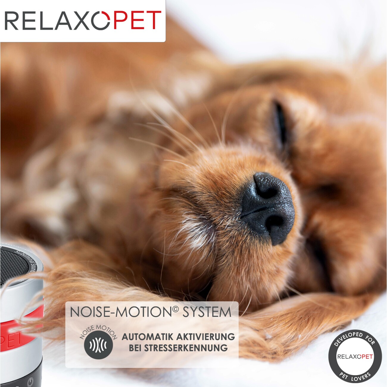 RelaxoPet PRO Entspannungs-Trainer HUND