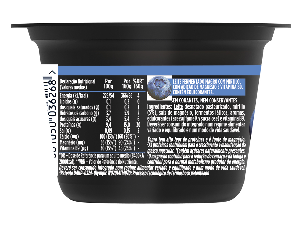 IOGURTE YOPRO MIRTILO 160G