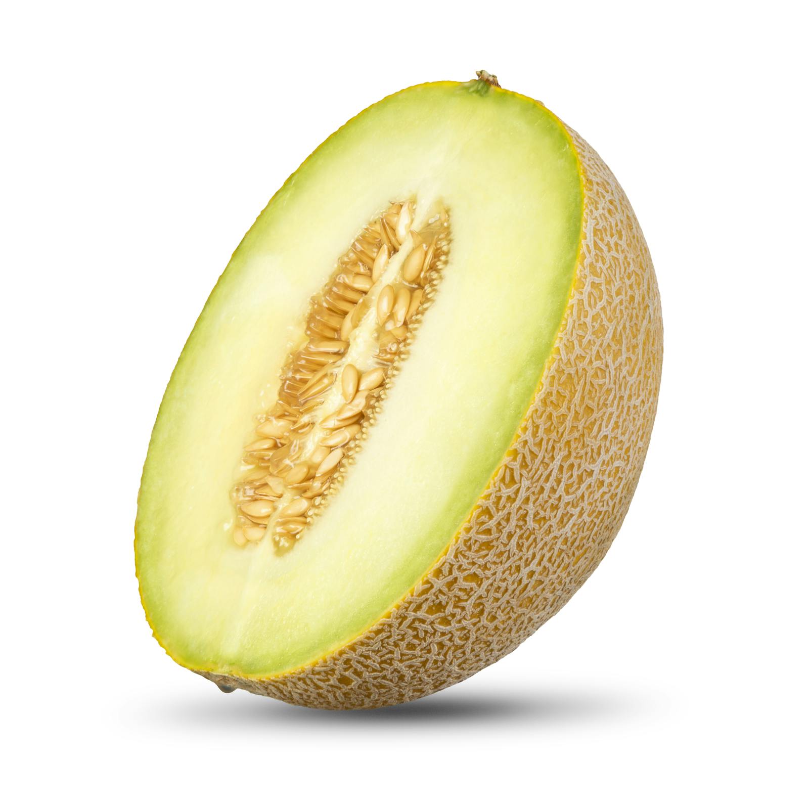 Galia Melon
