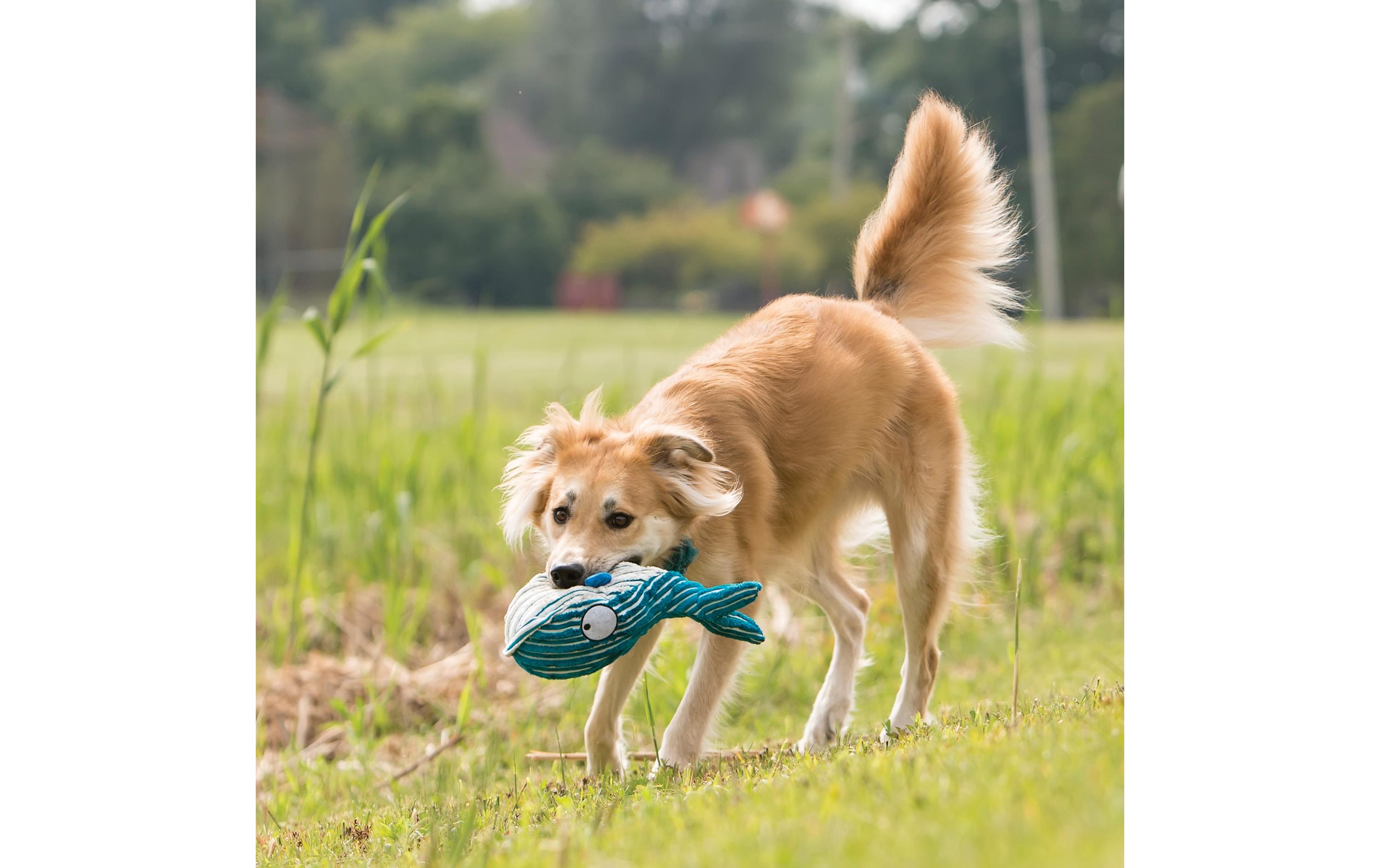 CuteSeas Tintenfisch, 35 cm, rosaHunde-Spielzeug für Ihren vierbeinigen Freund