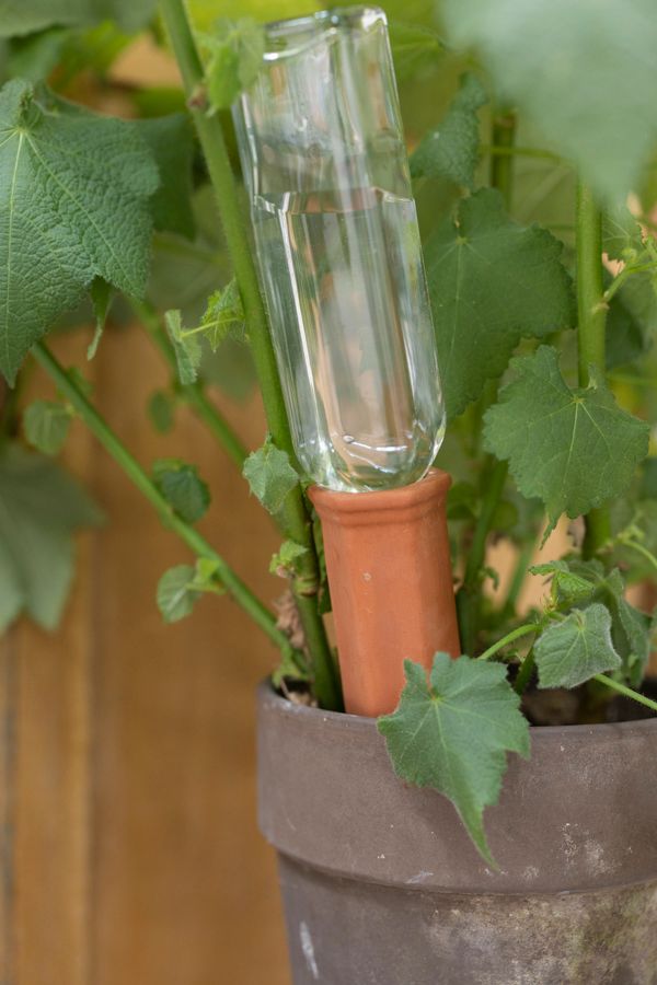 Waterdruppelaar, irrigator, terracotta, 17,5 cm