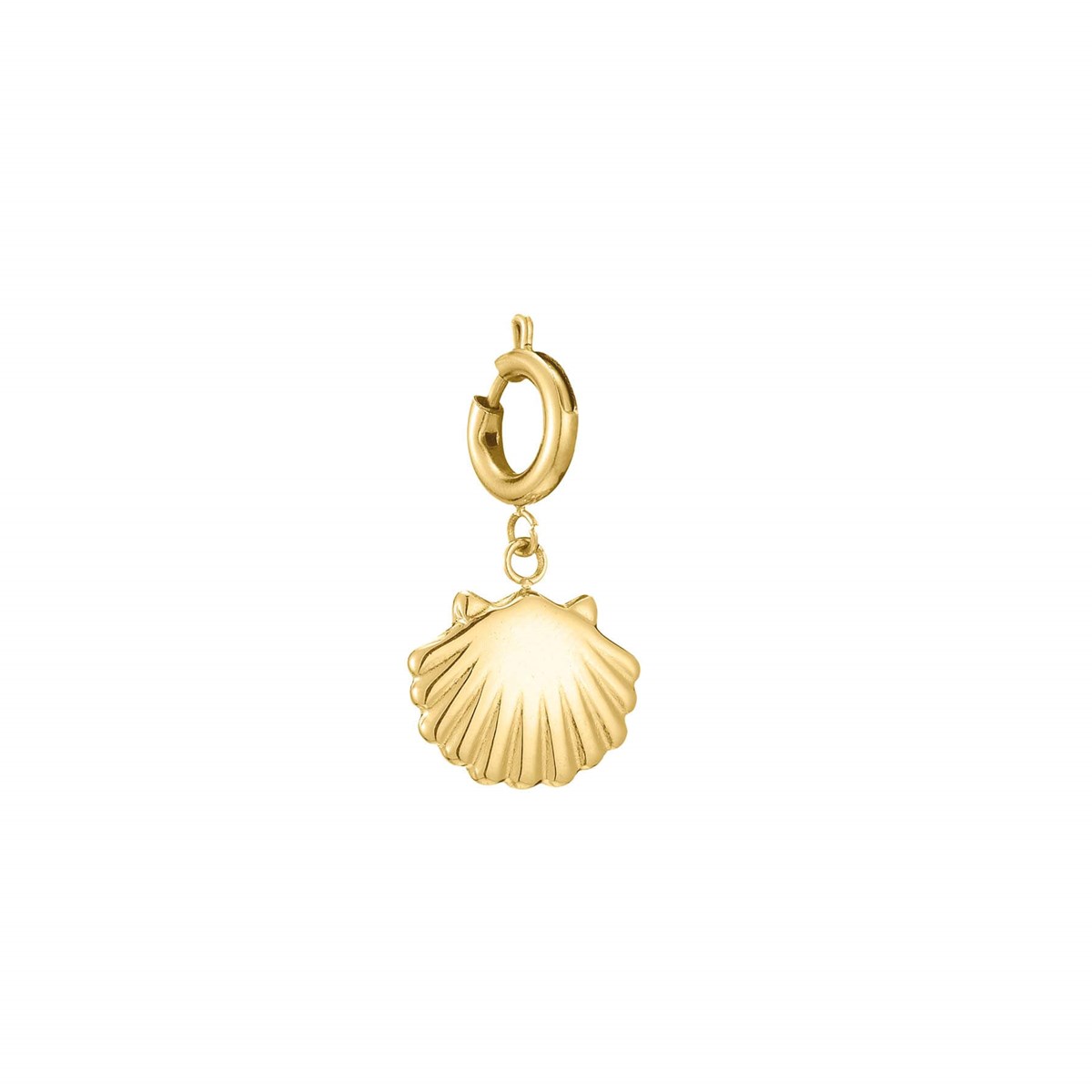 Charm Coquillage acier doré or