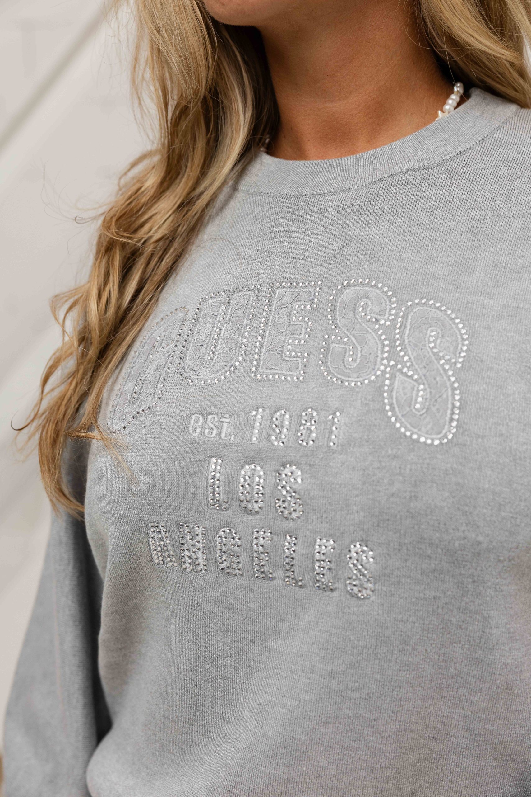 Guess Leighton Logo Sweater Dames Grijs