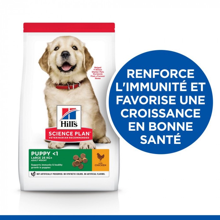 HILL'S Science Plan Large Puppy au Poulet - Croquettes pour chiot