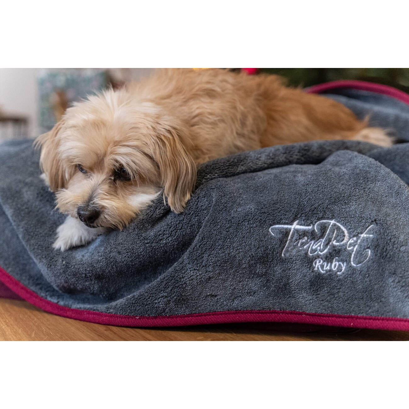 TrendPet Ruby Trockungsdecke grau XS