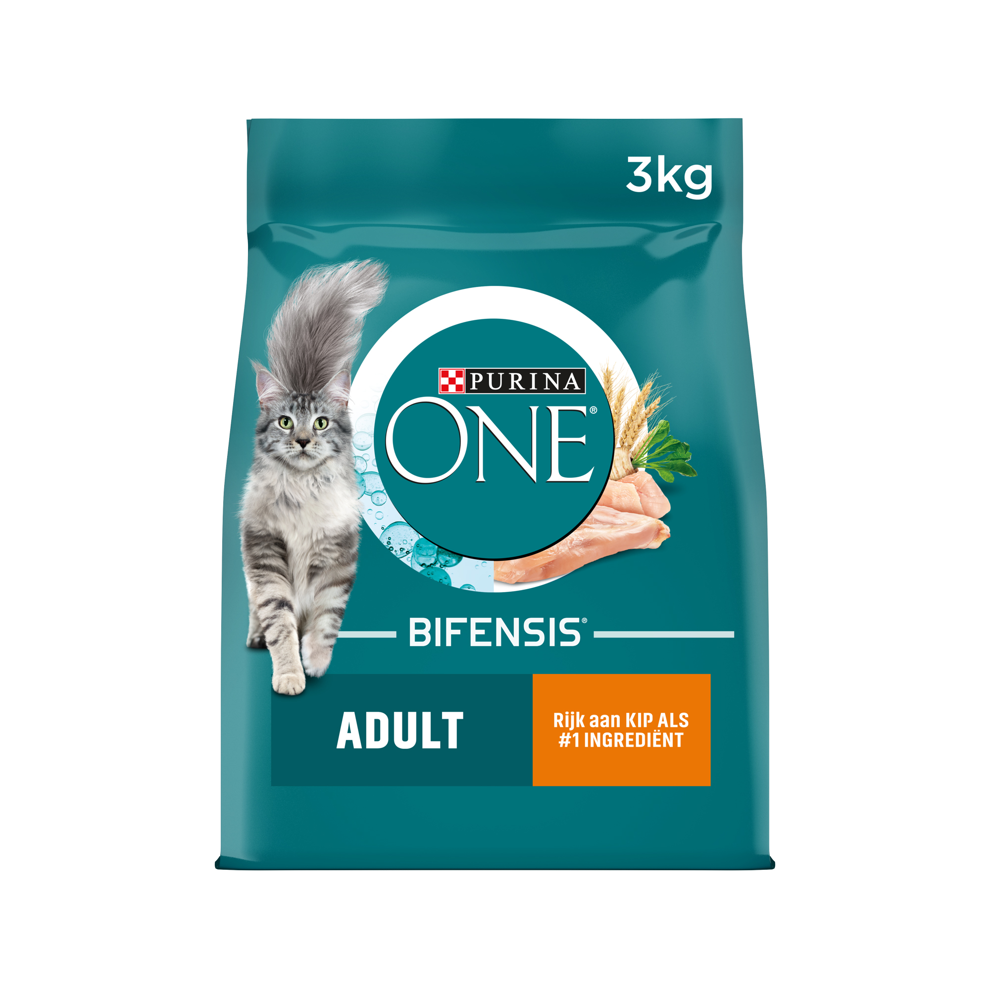 Purina ONE Adult