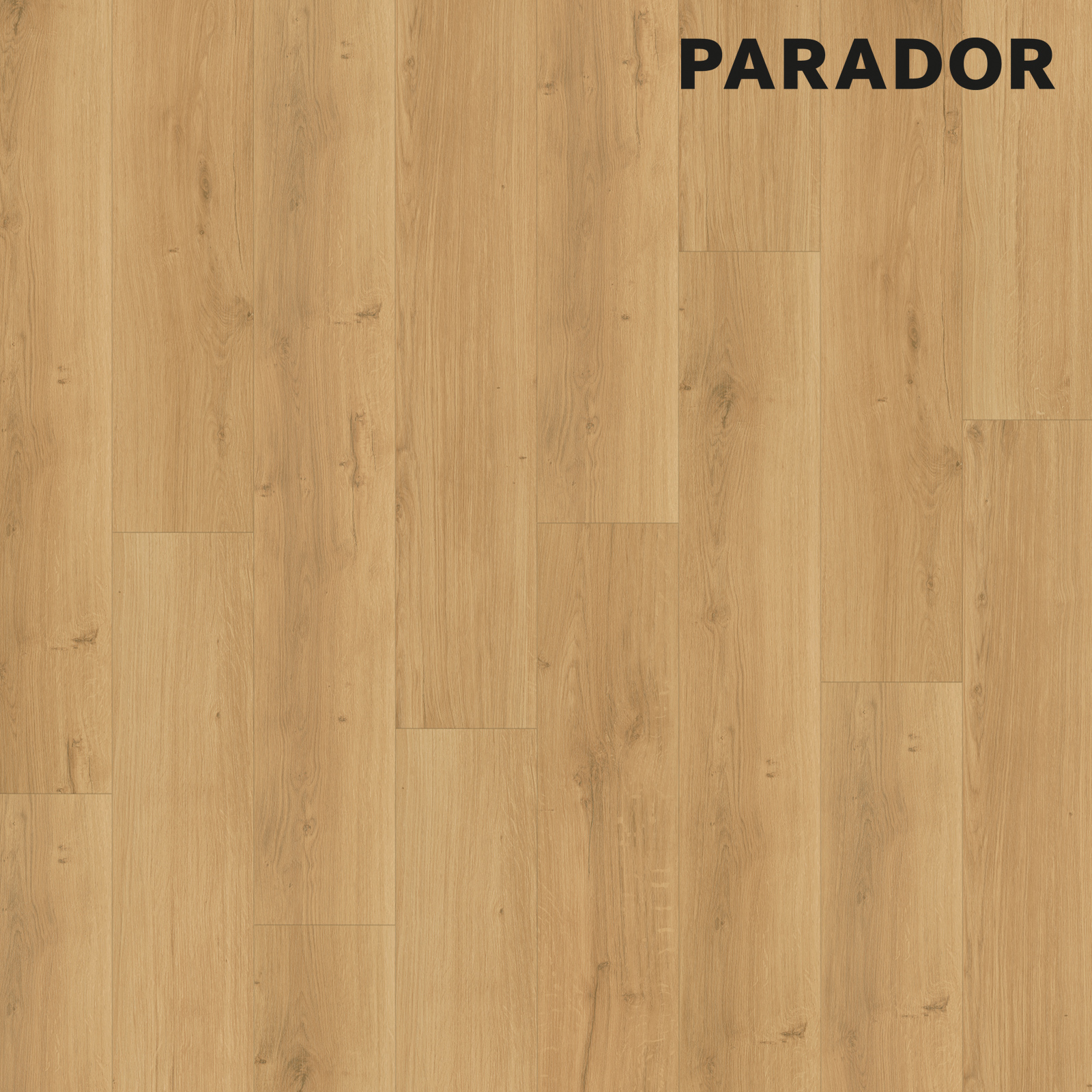 PARADOR Designboden MODULAR ONE - Eiche Spirit natur - 8 mm