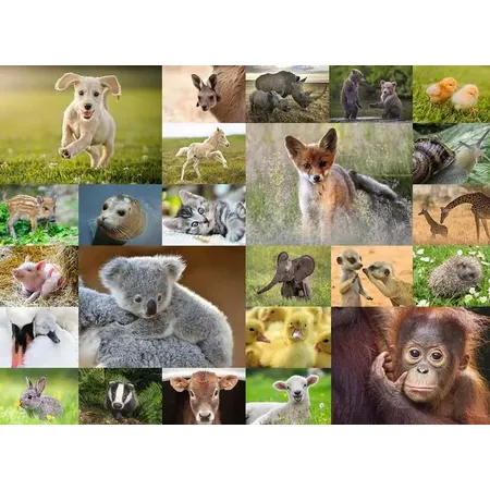 Ravensburger XXL Puzzle - Süße Tierbabys, 200 Teile
