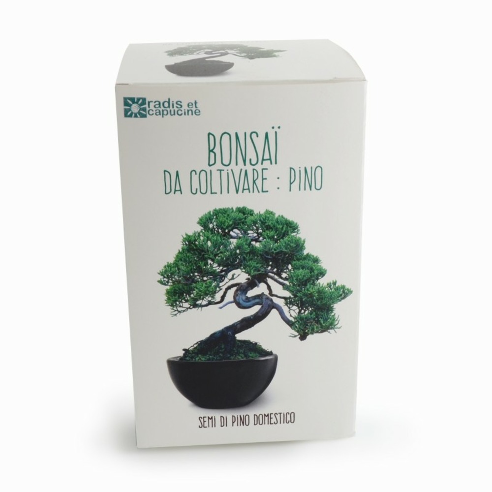 Kit de culture bonsaï avec pot