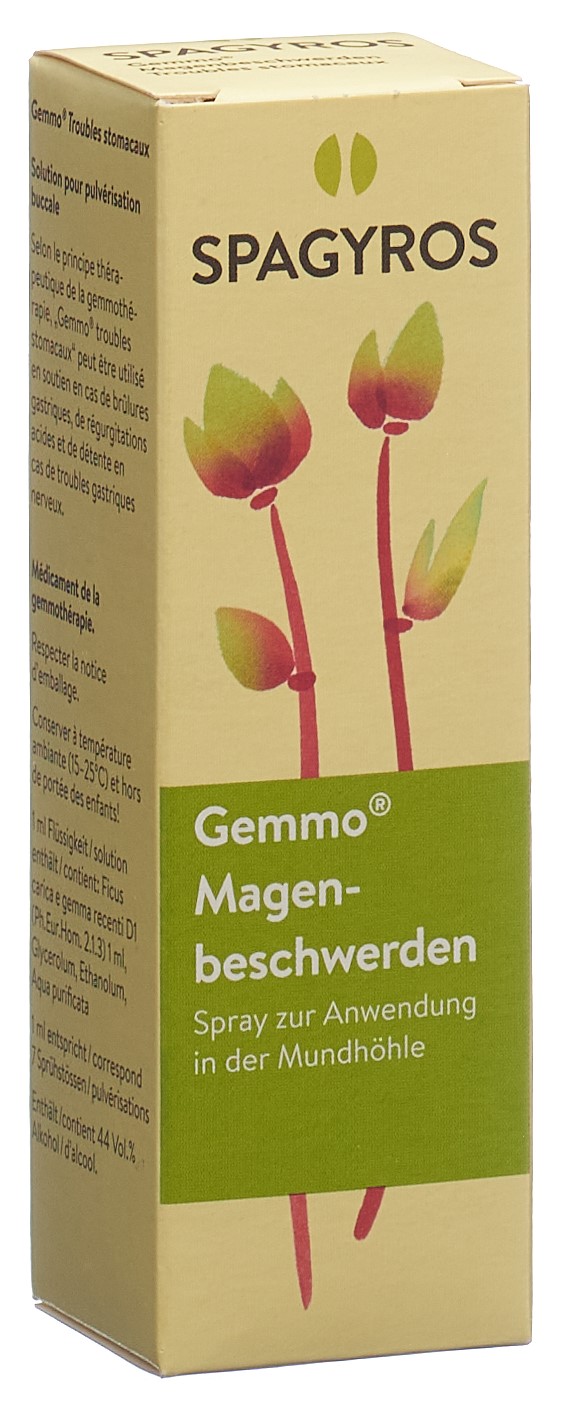 Spagyros Magenbeschwerden Mundspray Spray Fl 30 ml