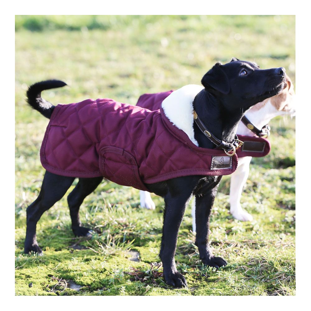 Kentucky ORIGINAL 160G - Couverture pour chien bordeaux