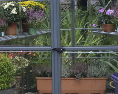 Palram Kas – Canopia Oasis Hexagonaal incl. funderingsframe, lamellenraam, regengoot 247,1 x 213,2 cm grijs