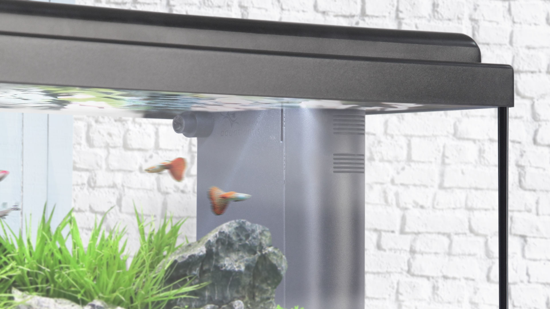 Aquatlantis Binnenfilter Systeem Mini BioBox Nr. 1 | Compacte filter