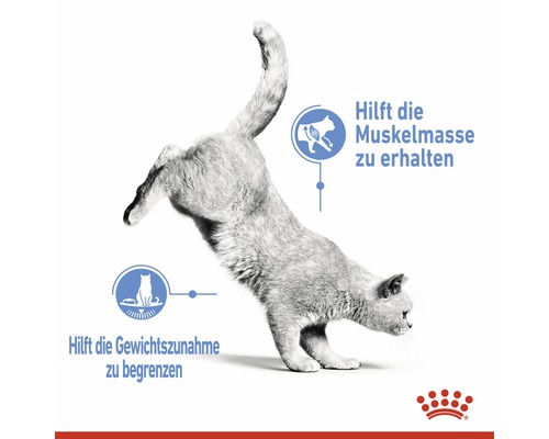 ROYAL CANIN Light droogvoer voor katten 8 kg