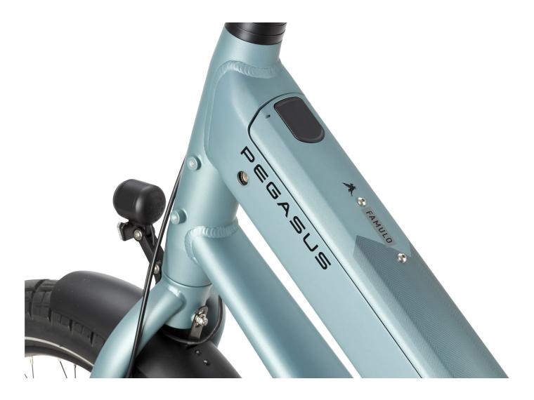 Pegasus Famulo Elektrische Fiets