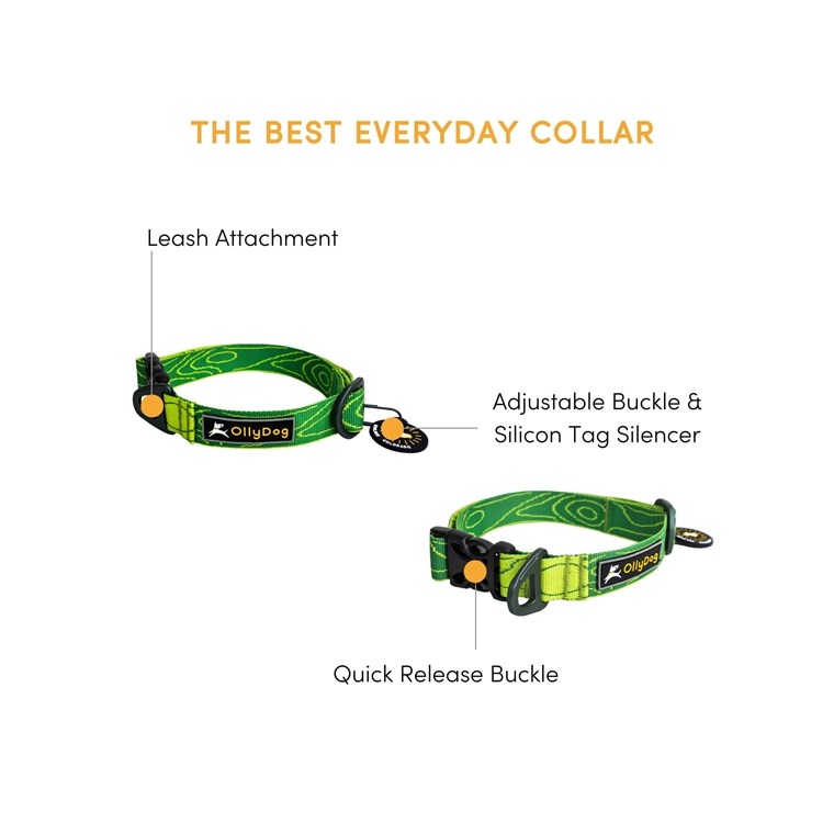OllyDog Flagstaff Collar