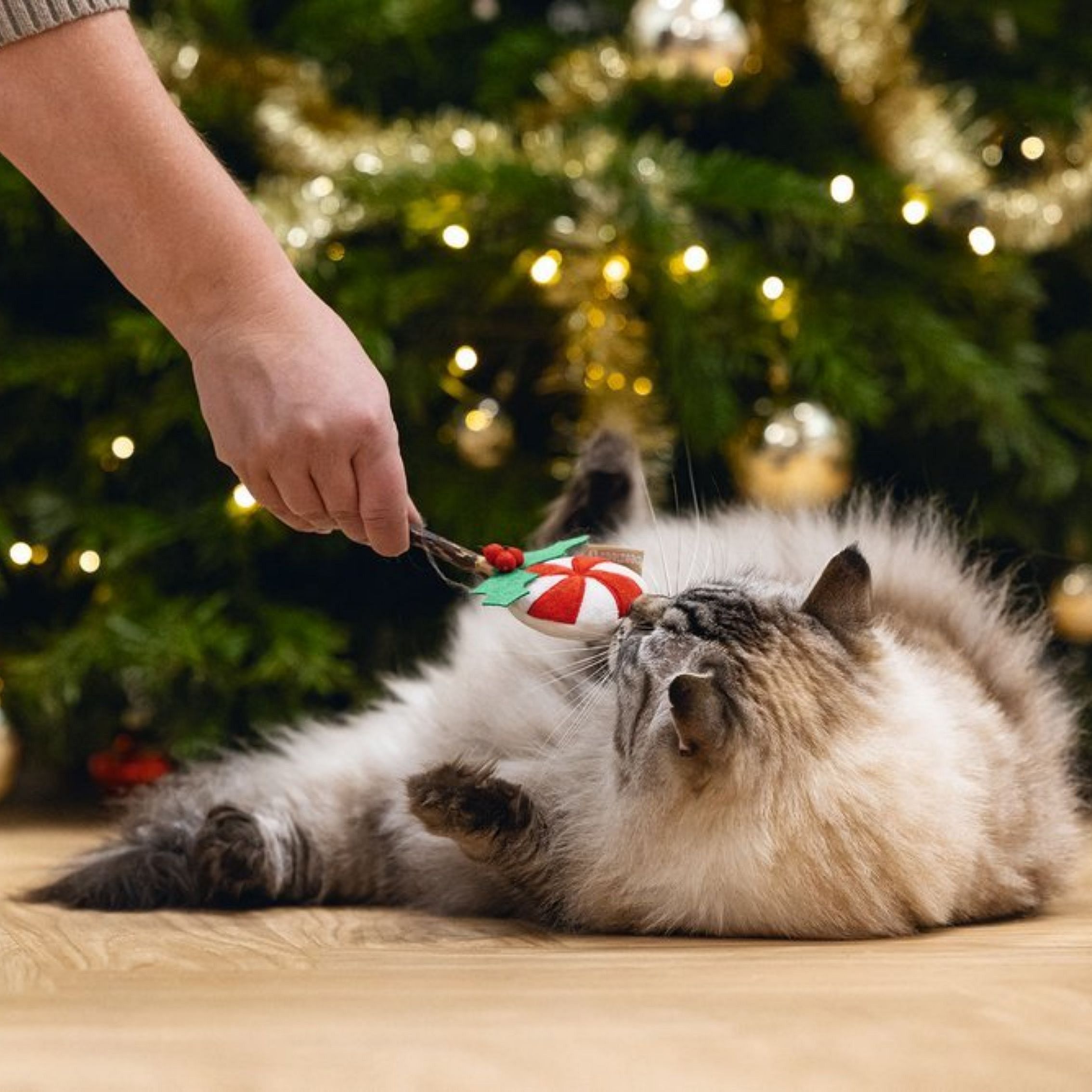 Beeztees Plush Matatabi Kerst Lolly Kat | 15156