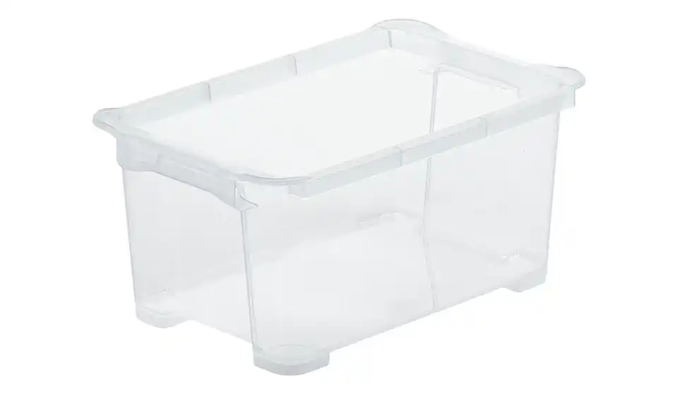 Rotho Aufbewahrungsbox 12,8 cm