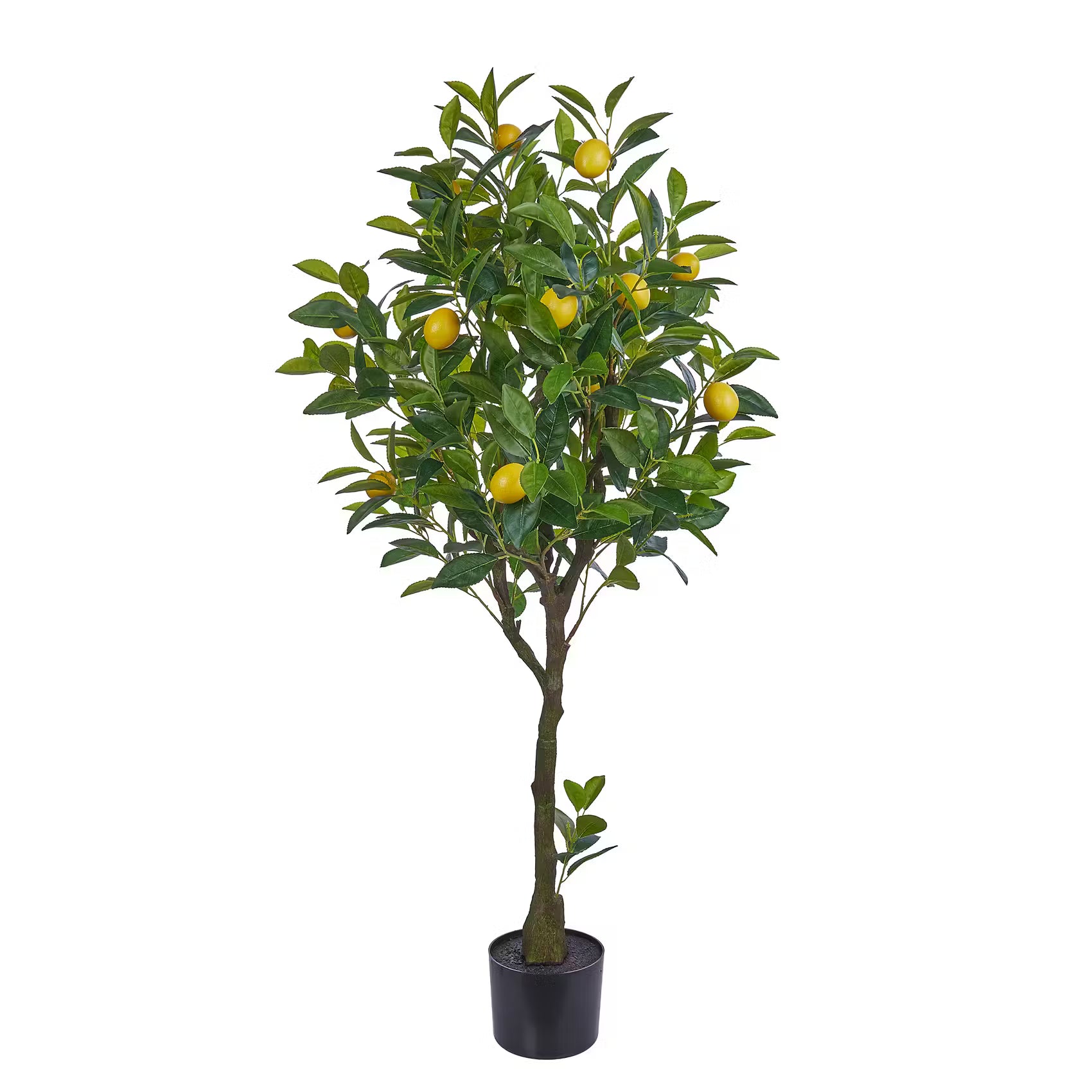 FLORISTA Kunstpflanze Zitronenbaum