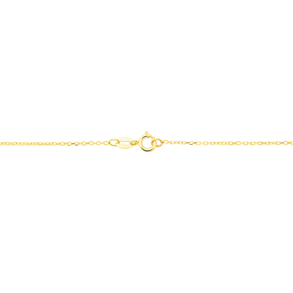 Chaîne Igoa Maille Forçat Diamantee Or Jaune