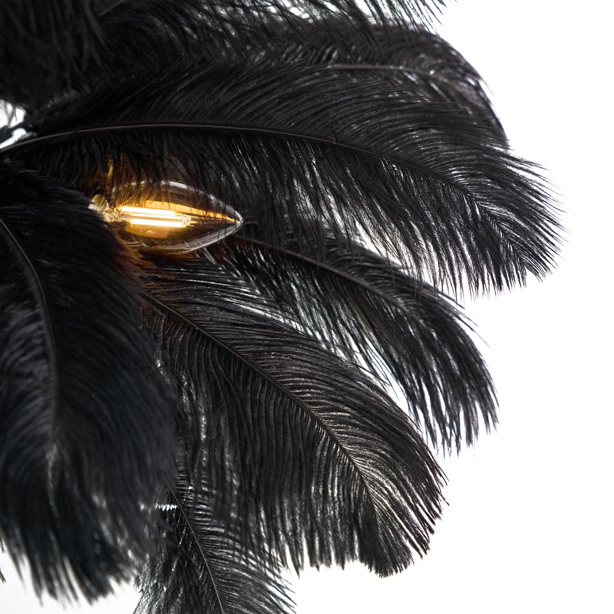Art Deco vloerlamp zwart met zwarte veren - Peahen