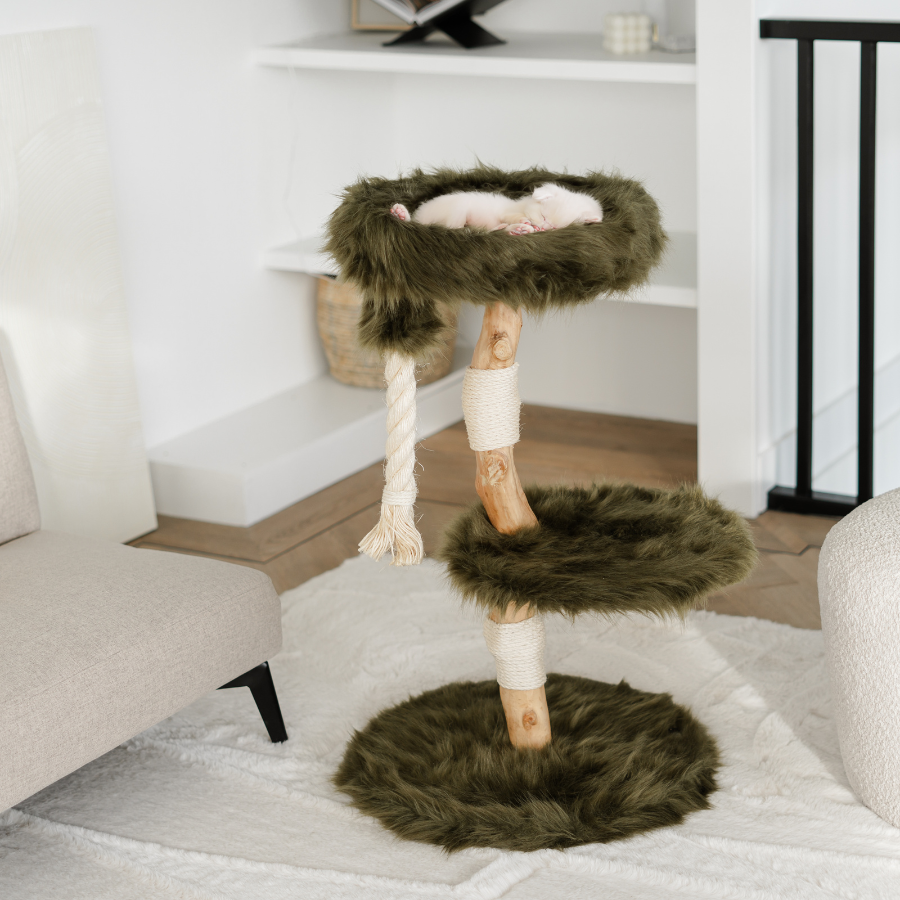 Arranhador peludo para gato bengal (verde floresta)