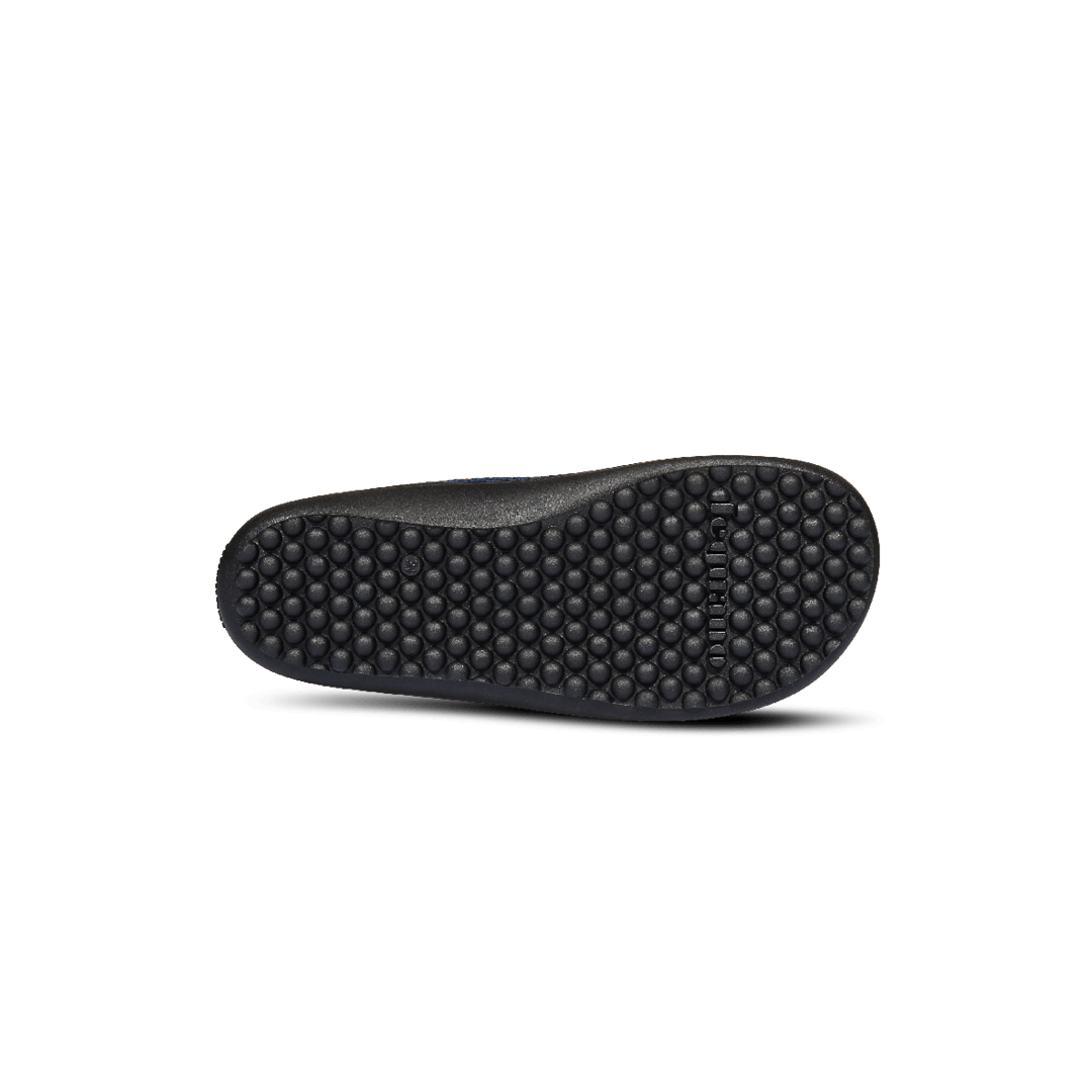 leguanito scio blue