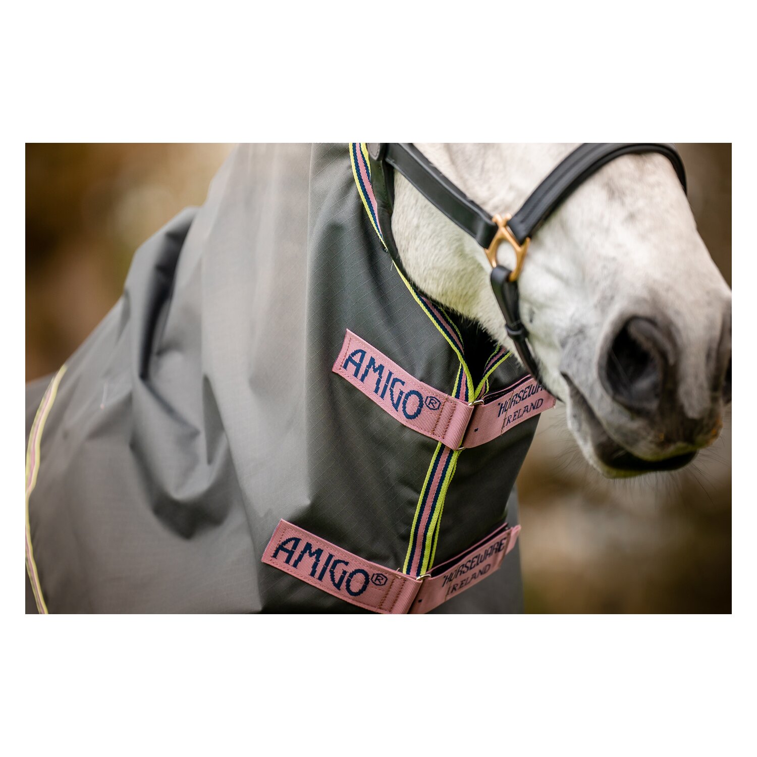 HORSEWARE Outdoordecke Amigo Hero Ripstop Plus Lite - shadow / rose & navy