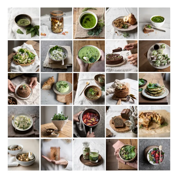 On The Wild Side Livre Wild Therapy, recettes et remèdes maison à base de plantes sauvages - FR
