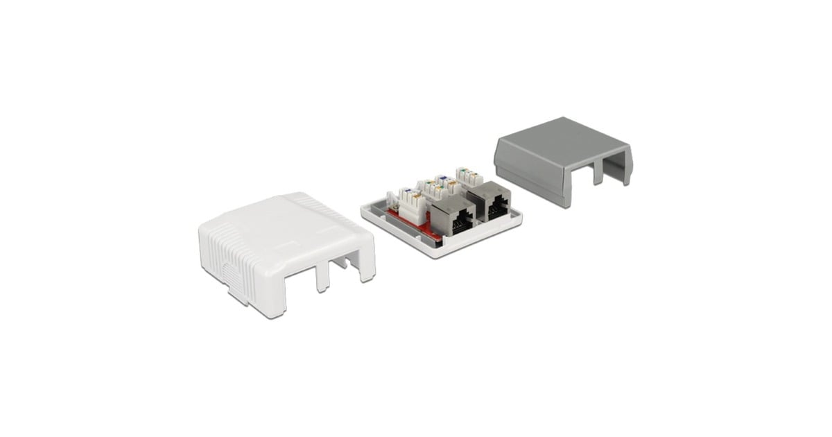 DeLOCKNetwork Wall Outlet 2 Port Cat.6A LSA montagedoos  (Wit)