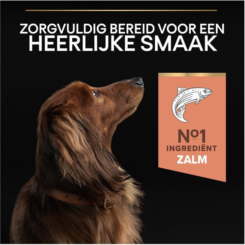 Pro Plan Small&Mini Adult Sensitive Skin - Honden Droogvoer - Zalm - 3 kg