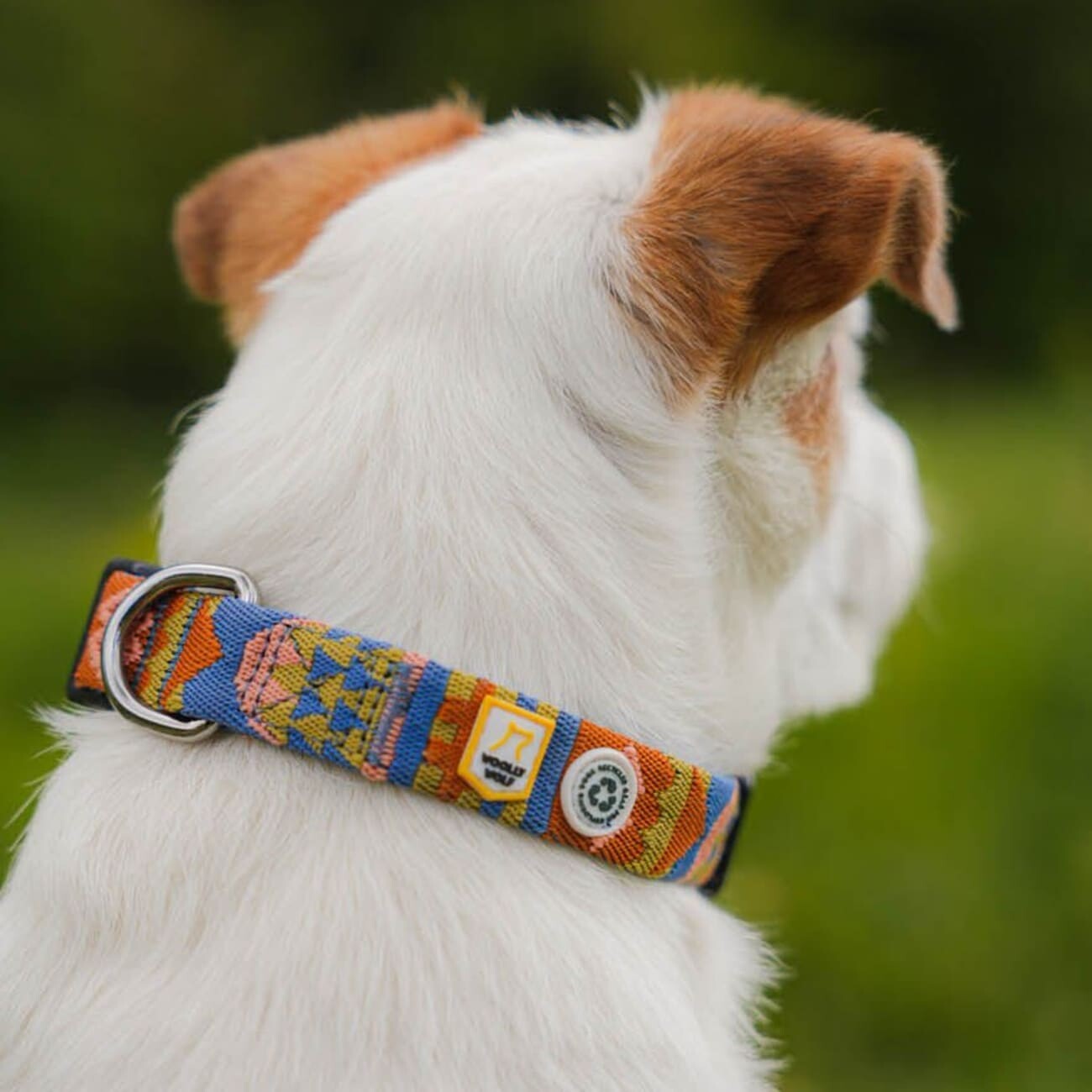 Woolly Wolf Halsband Nightless Night XS