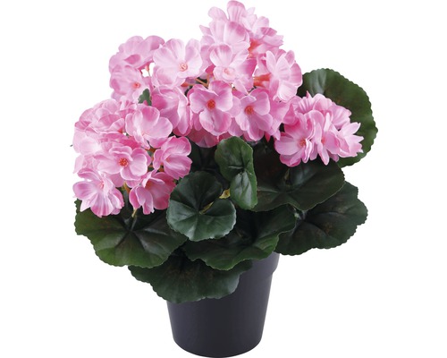 Kunstgeranium Lafiora in pot, 25 cm hoog, transparant