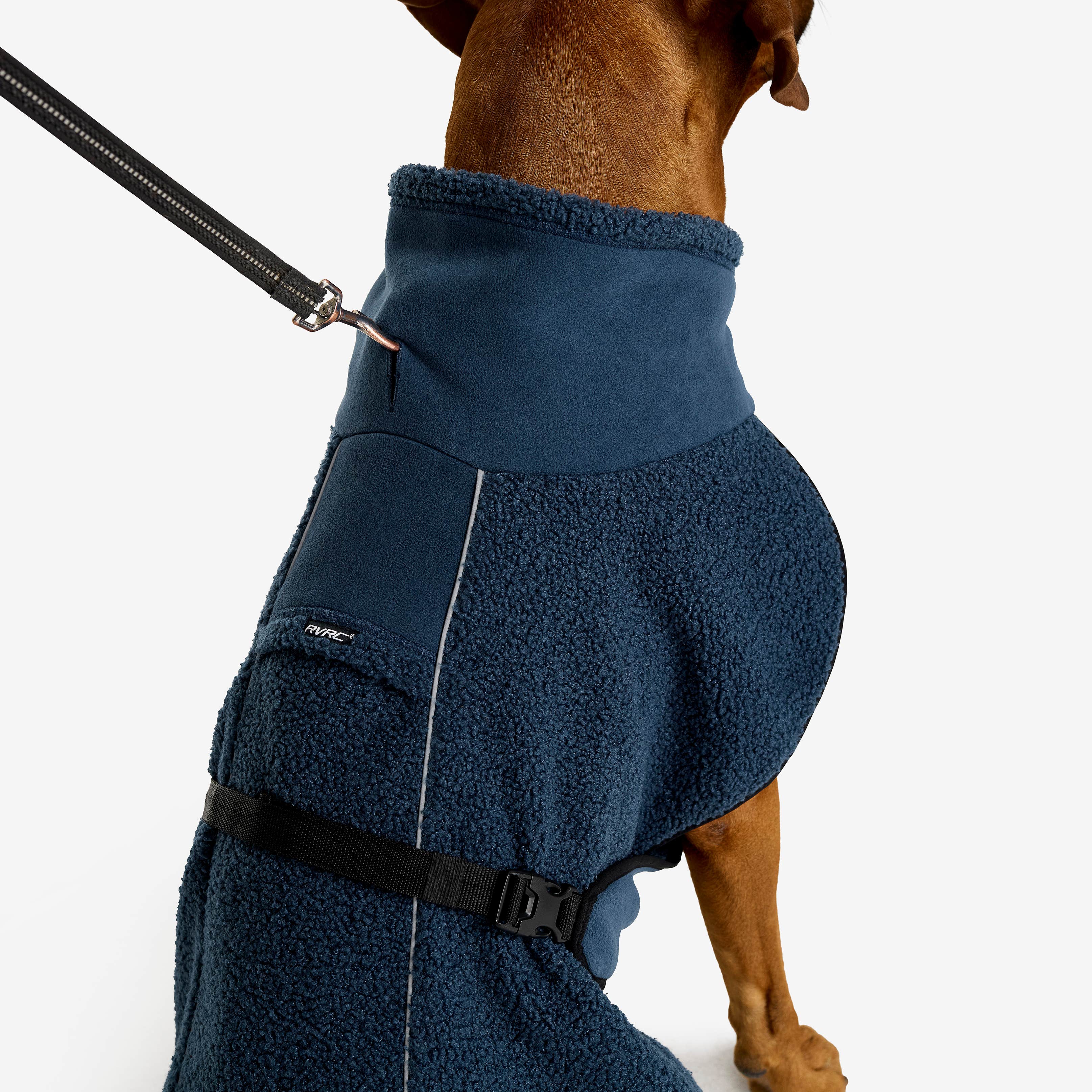 Bigfoot Dog Jacket Hund Moonlit Ocean