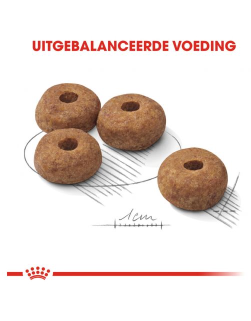 Royal Canin Sterilised Medium - Hondenvoer