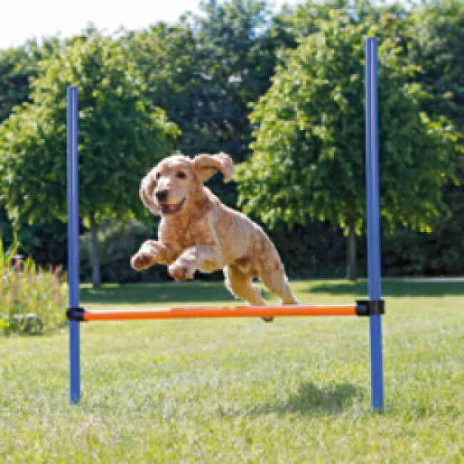 Obstacle Agility Trixie pour chiens