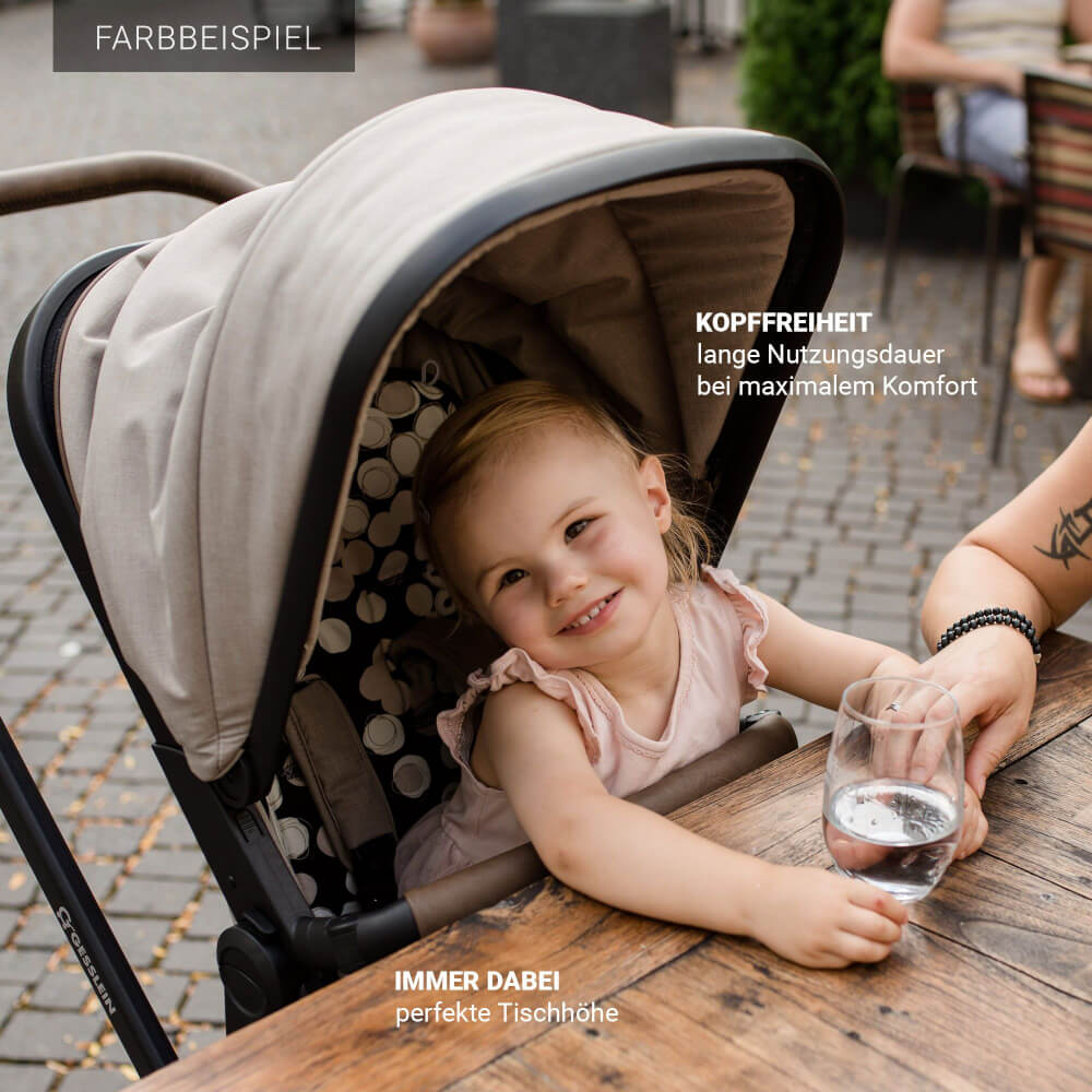Kombi-Kinderwagen FX4 Soft  Life schwarz/tabak inkl. Babywanne 987987