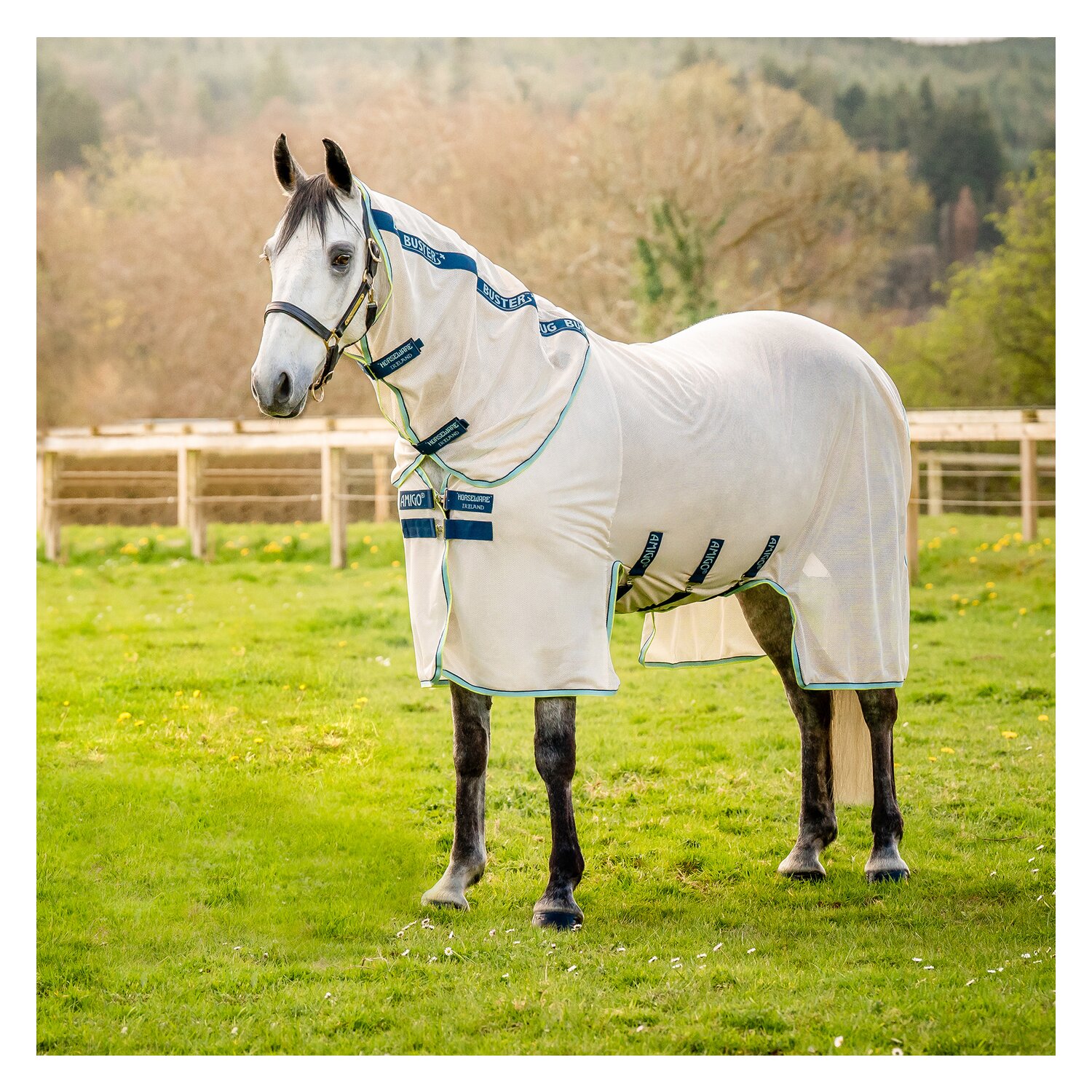 HORSEWARE Fliegendecke AMIGO Bug Buster  - chalk/navy/blue/haze